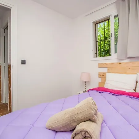 Vassholidays